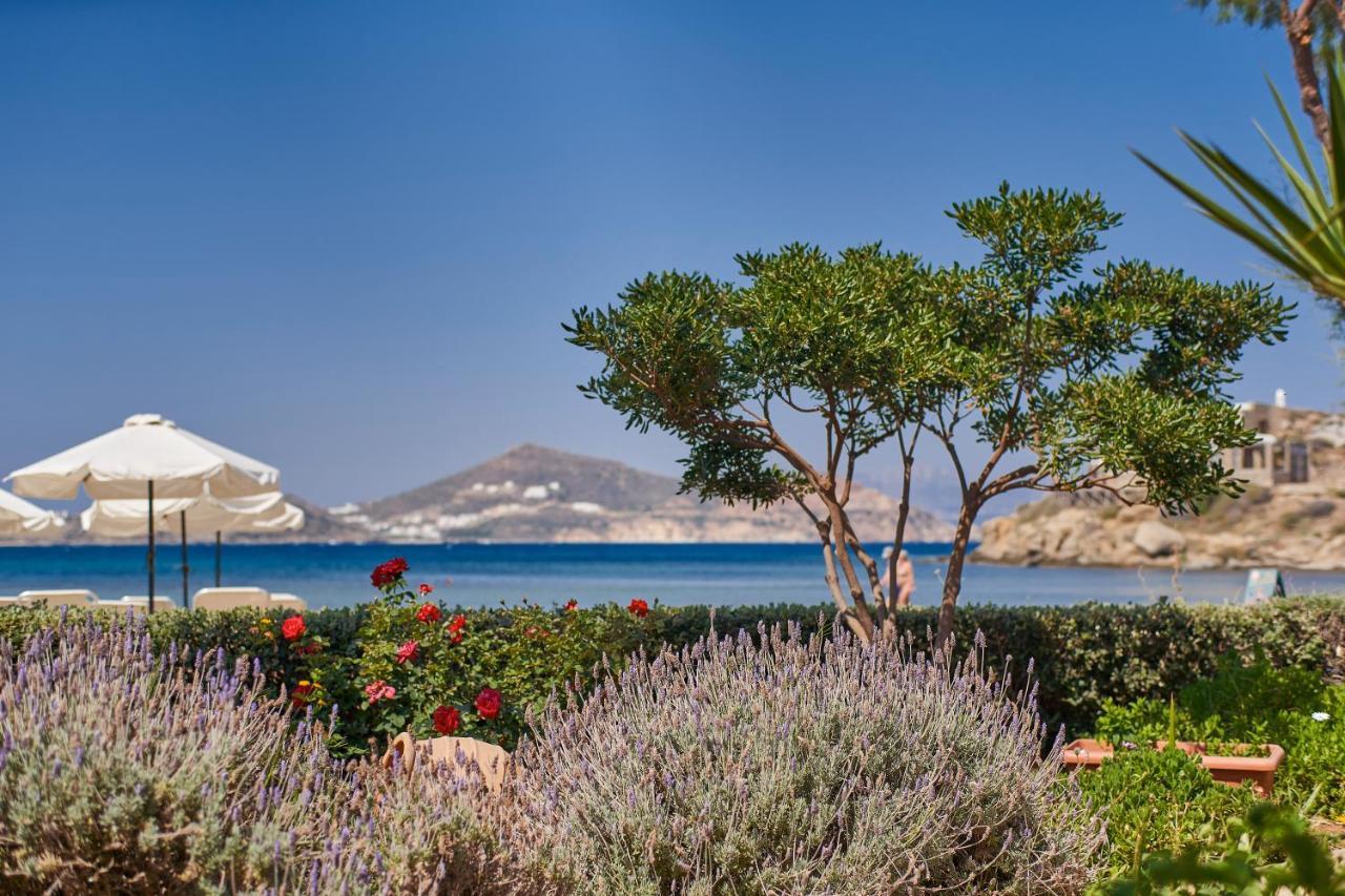 Kalergis Studios Naxos City Exterior foto